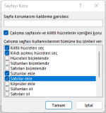 Ekran görüntüsü 2022-12-16 203051.png