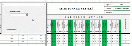 puantajay.gif
