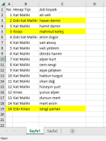 Sayfa1.PNG