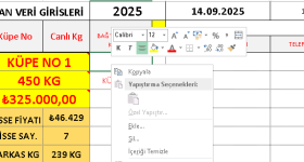 1757841273962.png