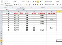 Ekran Alıntısı.JPG Ekran Alıntısı.JPG
