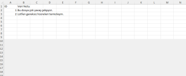 CSV_AktarımSorun.png