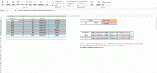 VisualBasic.gif