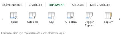 Hızlı Çözümleme altındaki Toplamlar galerisi