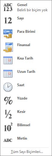 Sayı biçimi galerisi