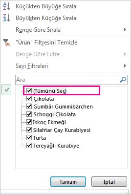 Sırala ve Filtre Uygula galerisindeki Tümünü Seç kutusu