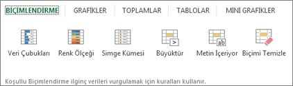 Hızlı Çözümleme altındaki Biçimlendirme galerisi